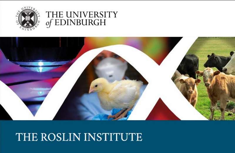 Huevos contra el cáncer - The Roslin Institute